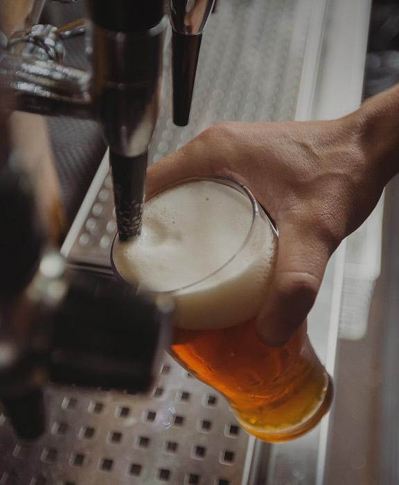 Mobiliario, equipamiento y servicios para hostelería +Bar